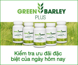 Green Barley Plus – chiết xuất lúa mạch xanh làm giàu