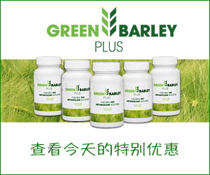 Green Barley Plus – 丰富的绿色大麦提取物