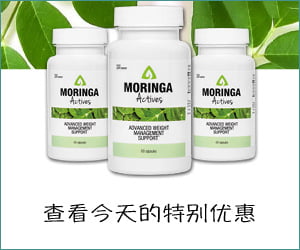 Moringa Actives – 用于减肥和新陈代谢的草药配方
