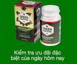 Green Coffee Plus – chiết xuất cà phê xanh nguyên chất với nồng độ cao